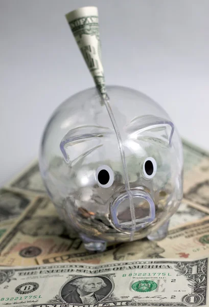 Банк свиней с одним долларом — стоковое фото