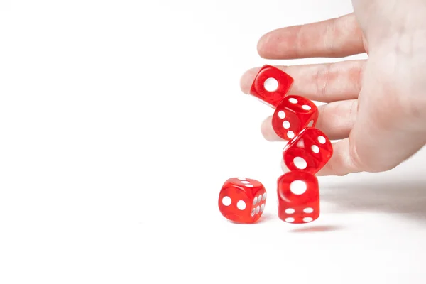 Hand with dices isolated on white — Stock Photo, Image