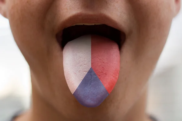 Langue avec le drapeau de la République tchèque, illustration de traduction — Photo