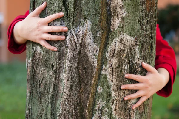 Objímání stromů. Detailní záběr rukou objímající strom — Stock fotografie