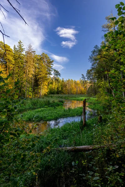 Paisaje Forestal Warmia Otoño Río Yna Bosque Ciudad Olsztyn —  Fotos de Stock