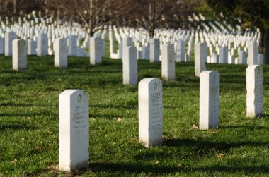 Arlington mezarlığı