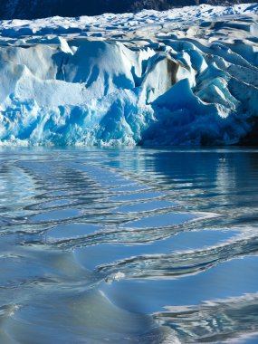 Lago gri torres del paine