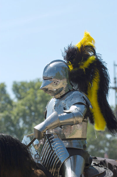 Броневой рыцарь
