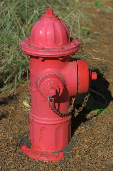 赤消火栓 — ストック写真