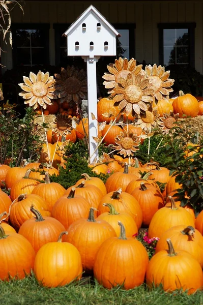 Pumpkins with Birdhouse and Sunflowers — ストック写真