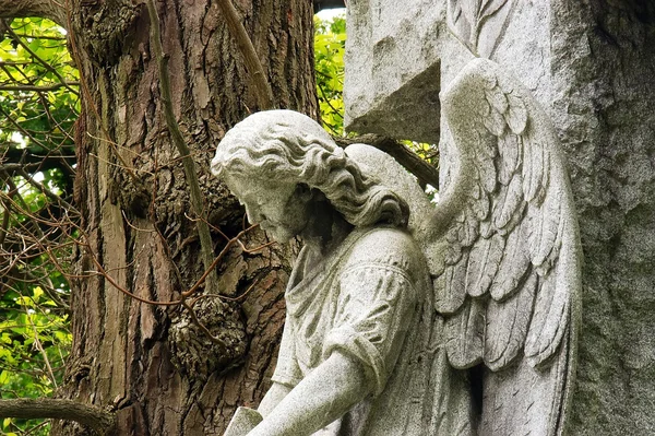 Begraafplaats engel — Stockfoto
