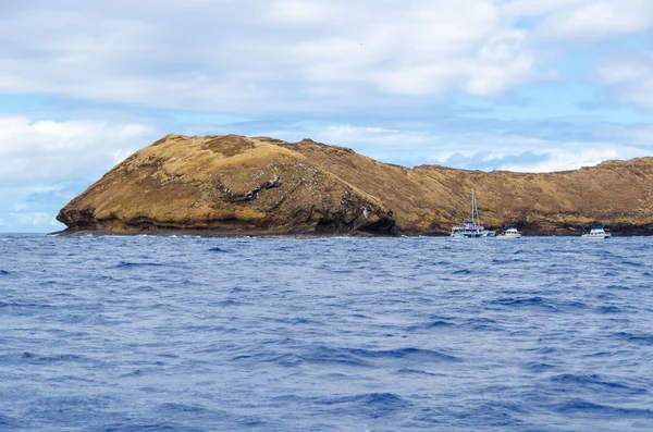 モロキニ島 — ストック写真