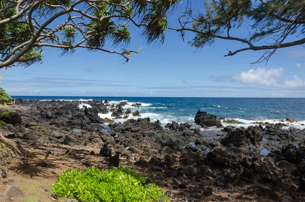 Maui... — Fotografia de Stock