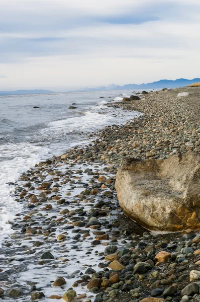 Magelhaense kust — Stockfoto