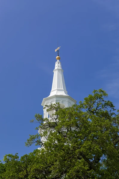 Charleston Kilisesi — Stok fotoğraf