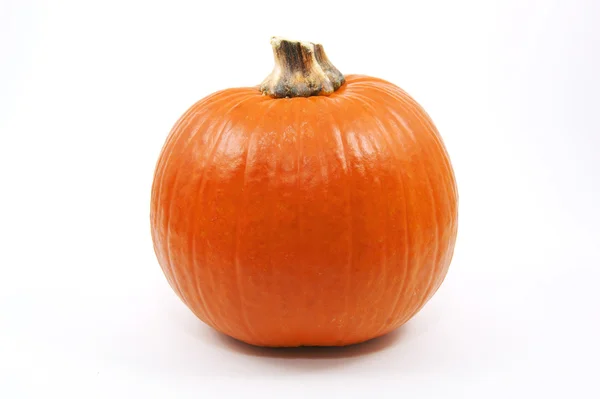 Pumpkin Royalty Free Stock Images