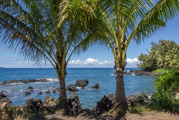 Maui Royaltyfria Stockbilder