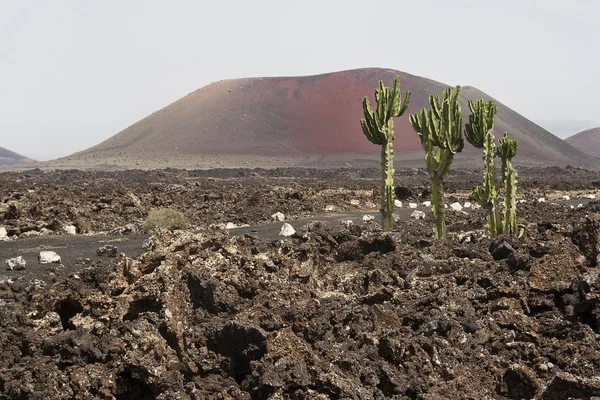 Volcanic mountains, Timanfaya National Park in Lanzarote Island — Stock Photo, Image