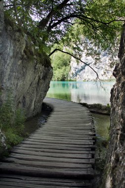 plitvice gölleri Milli Parkı, Hırvatistan güzel manzara
