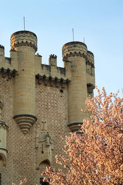 Alcazar of Segovia detail and fortification with flowery tree, C — Stock Photo, Image