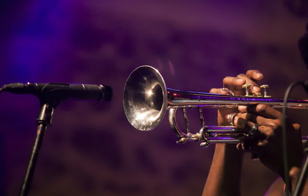 Музыкальный баллон играет на трубе на концерте — стоковое фото
