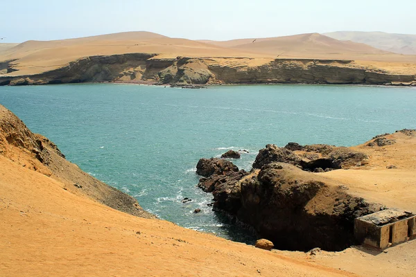 Okyanus Manzaralı paracas, peru, Güney Amerika