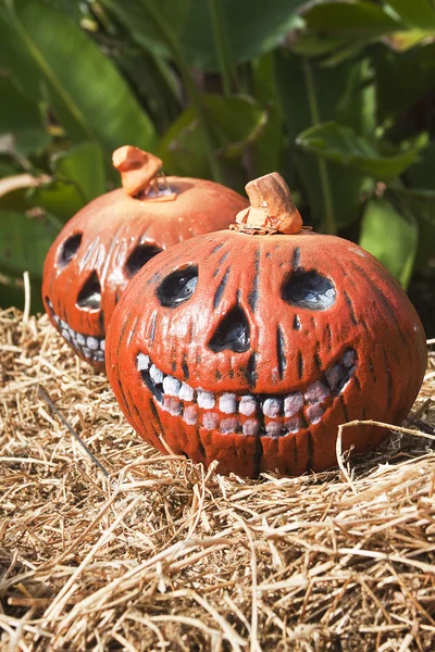 Två funny Halloweenpumpor vertikala — Stockfoto