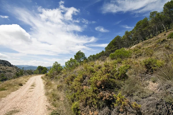 Path road in the hills with beautiful clouds in Alicante mountai — Stock Photo, Image