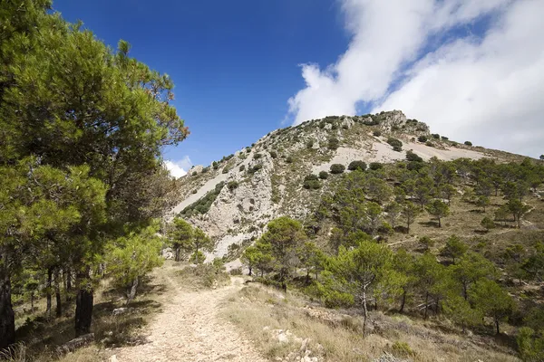 Route de campagne dans les collines avec rocher de montagne à Alicante, Espagne — Photo