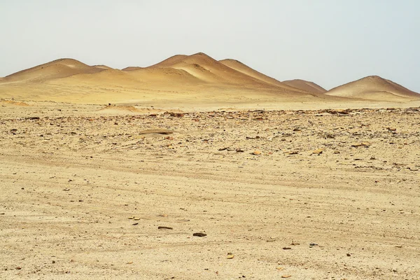 Desert in Paracas National Park Reserve, Pisco, Peru — Stock Photo, Image