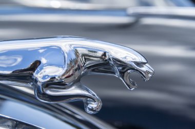 La nucia, İspanya - 7 Nisan 2012. Hood ornament araba jaguar,