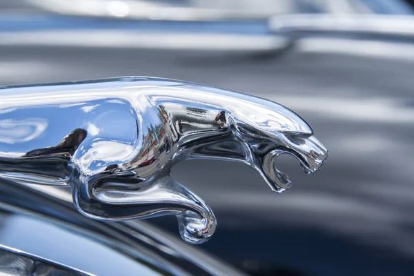 La nucia, İspanya - 7 Nisan 2012. Hood ornament araba jaguar,