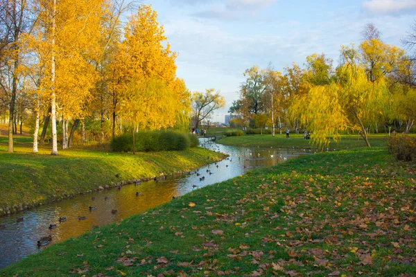 Landskap med ett nordligt träsk på senhösten. — Stockfoto