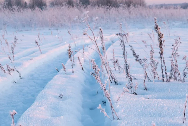Téli táj, keréknyomok a havon, hóút — Stock Fotó