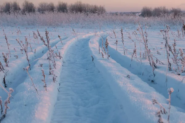 Eingefrorene Bäume und verschneite Landstraße im Winter — Stockfoto