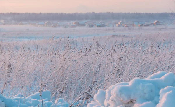 Nagy Sodródik Hóesések Hóviharok Után Téli Szezonban Hideg Időjárás Sok — Stock Fotó