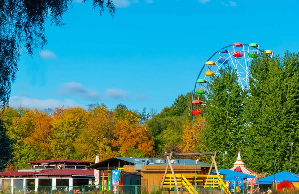 Краєвид парку розваг з верхнім колесом Ферріса, що показує над вершинами дерев на блакитному небі . — стокове фото
