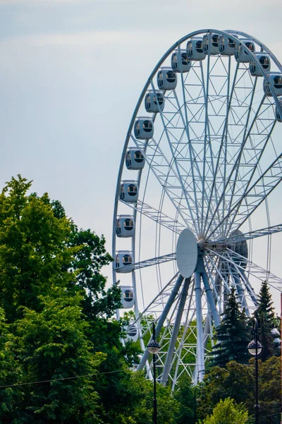 Landscape of an amusement park with the top of a Ferris wheel showing above the tree tops against a blue sky. — Stock Photo, Image