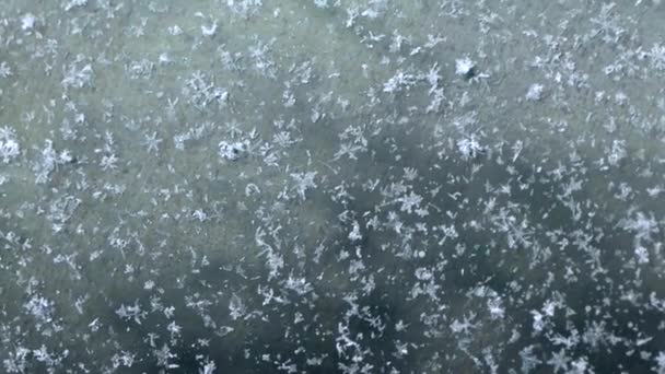 Neve lenta caindo na superfície azul com partículas azuis com floco de neve no inverno Natal ou Ano Novo loop fundo — Vídeo de Stock