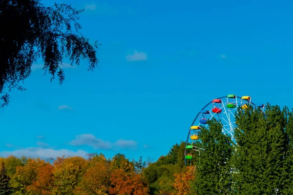 Landscape of an amusement park with the top of a Ferris wheel showing above the tree tops against a blue sky. — Stock Photo, Image