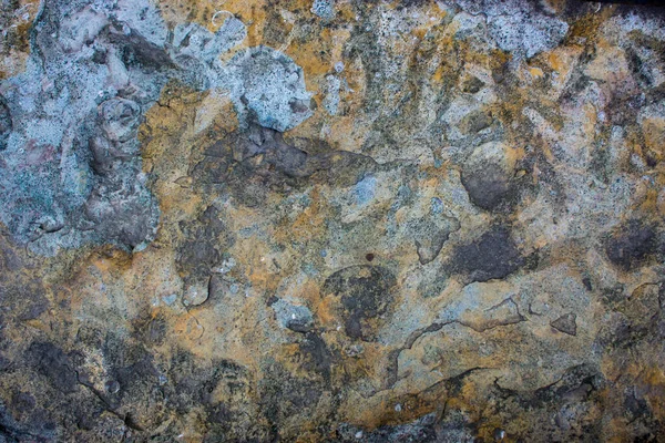 Η υφή της πέτρας είναι σχιστόλιθο shot closeup των συνηθισμένων ψαμμίτη. — Φωτογραφία Αρχείου