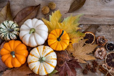 Tahta masadaki minyatür balkabaklarının çeşitliliği. Küçük balkabakları ve sonbahar yapraklarıyla Şükran Günü konsepti. 