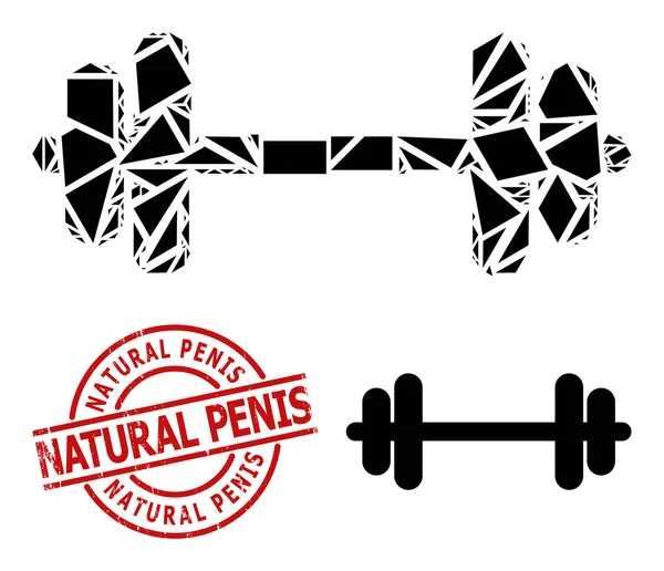 Geometric Barbell Icon Mosaic and Distress Natural Penis Watermark — Stock Vector