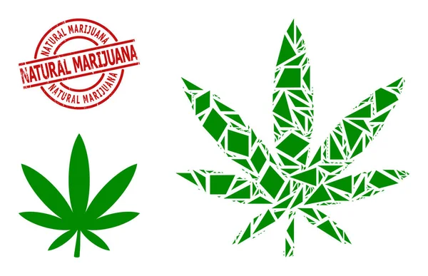 Geometric Marijuana Icon Mosaic and Scratched Natural Marijuana Stamp Print — Stock Vector