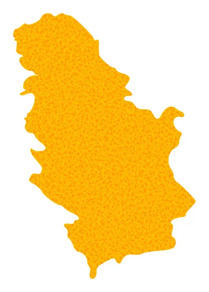 세르비아 의금 벡터 지도 — 스톡 벡터