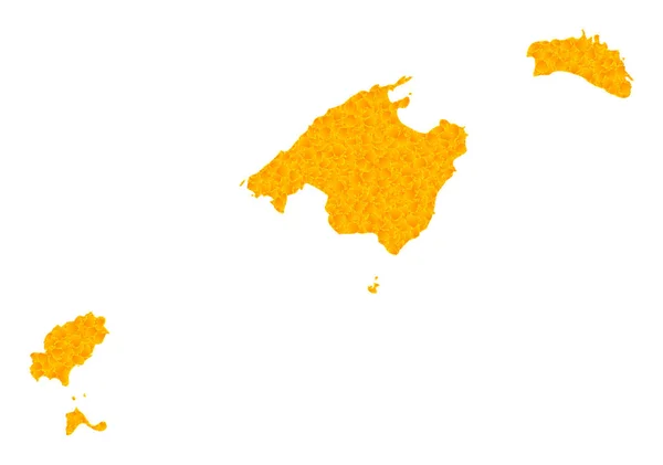 Baleares Eyaletinin Altın Vektör Haritası — Stok Vektör