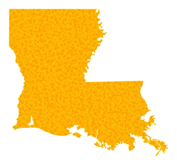 Golden Vector Map of Louisiana State — Stock Vector