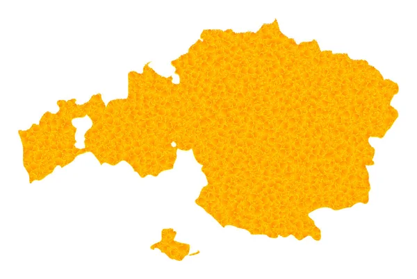 Mapa Wektora Złotego prowincji Vizcaya — Wektor stockowy