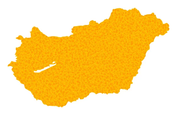 Mappa vettoriale d'oro dell'Ungheria — Vettoriale Stock