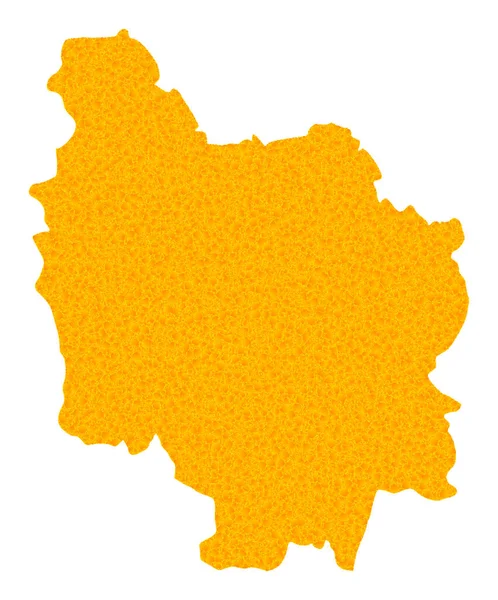 Guld vektor karta över Bourgogne provinsen — Stock vektor