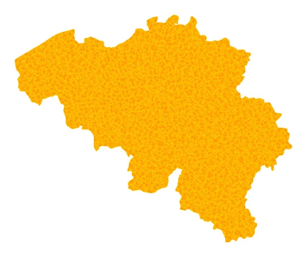 Belçika 'nın Altın Vektör Haritası — Stok Vektör