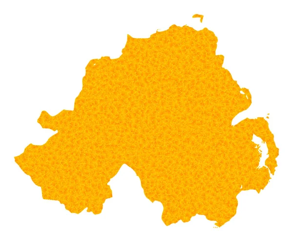 북아일랜드 의금 벡터 지도 — 스톡 벡터