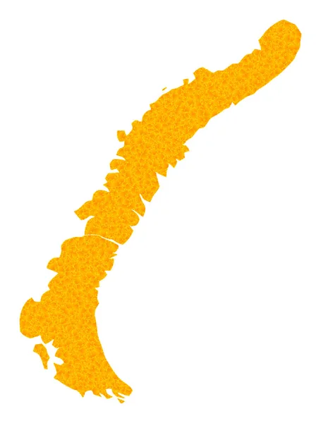 Carte vectorielle de l'or des îles Novaya Zemlya — Image vectorielle