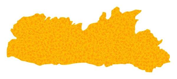 Mapa vectorial dorado del estado de Meghalaya — Vector de stock